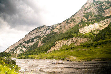 A herd of horses walks along the river along the high beautiful green hills and majestic mountains.