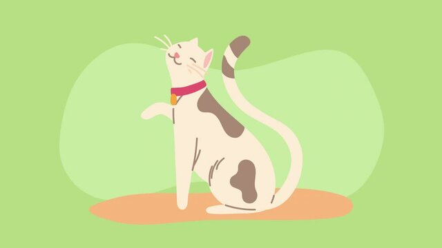 cute cat mascot feline animation
