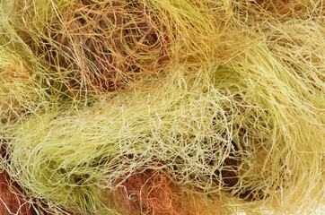 Bunch   dried  corn  fibers and silk as background. .