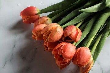 Beautiful bunch of orange tulip flowers