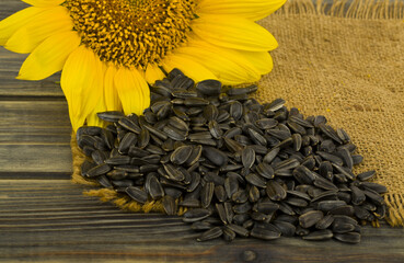 Sunflower with seeds on a wooden table.