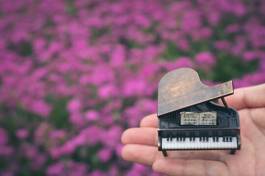 ピンクの花畑とピアノ