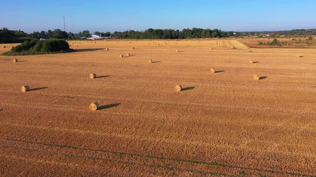 Aerial drone view of the summer landscape. Golden field with hay bales or straw bales after harvest in the Estonian countryside