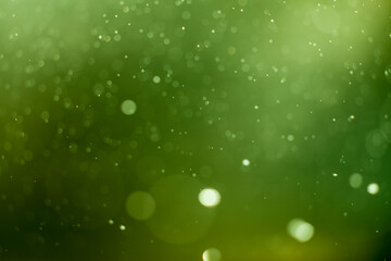Green lights bokeh background.