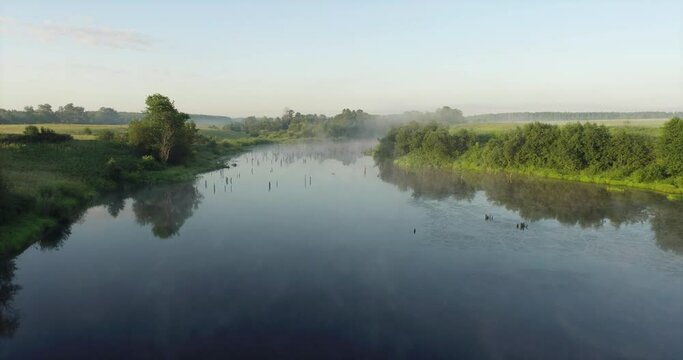 Swampy lake with died trees, dry forest. Mystic swamp place with fog from adove water at summer sunny sunrise