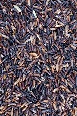 Black rice berries background.