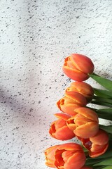 Orange tulip flowers in bunch, portrait style