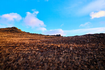 Nature landscape with golden hills with a blue sky with white clouds in a day or a evening