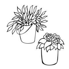 Illustration of a bouquet of flowers in a bucket. Doodle vector hand drawing