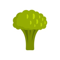 Fresh broccoli icon flat isolated vector