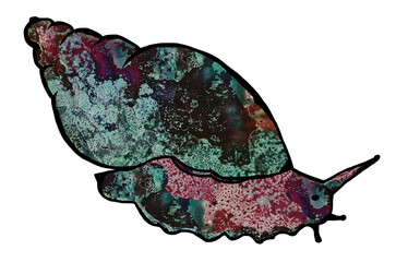 Cool Snail. Snail Lover. Garden snail  Illustration .  A multicolored green and maroon slug. Clam with a house. 