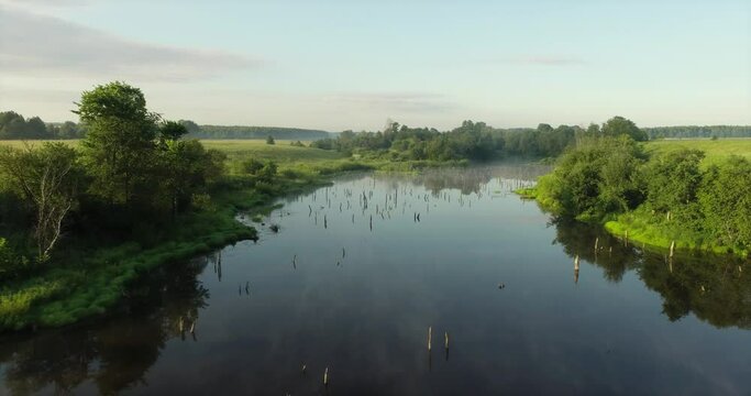 Swampy lake with died trees, dry forest. Mystic swamp place with fog from adove water at summer sunny sunrise