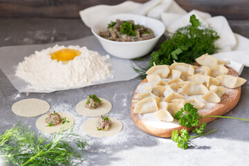 Cooking dumplings with meat and herbs. Ravioli dough on a gray background. Prepare a delicious lunch
