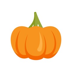 Vegetable pumpkin icon flat isolated vector