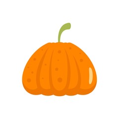 Jack pumpkin icon flat isolated vector