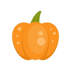 October pumpkin icon flat isolated vector