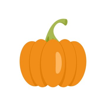 Celebration pumpkin icon flat isolated vector