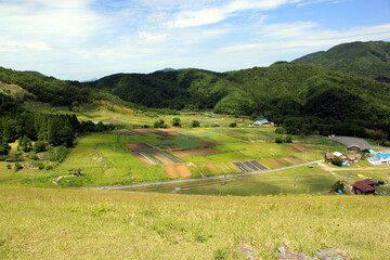 田園