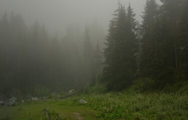 Fog in mountains