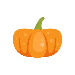 Obraz premium Traditional pumpkin icon flat isolated vector