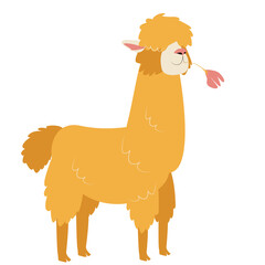 A male honey llama stands with a pink flower. Vector cartoon illustration isolated on a white background for postcards, prints, T-shirts, invitations