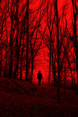 man silhouette in scary forest, halloween horror landscape