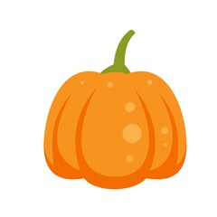 Magic pumpkin icon flat isolated vector