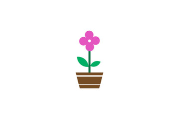 flower in a pot
