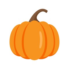 Raw pumpkin icon flat isolated vector