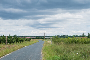 Fototapeta na wymiar Road in the French countryside