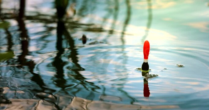 Fishing Bobber Floats in Water Stock Video - Video of pond, relaxation:  77836397