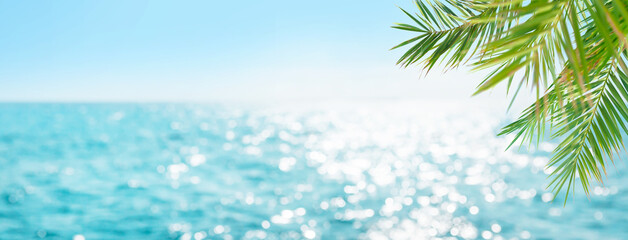 Fototapeta na wymiar Summer tropical sea and palm leaves