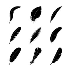 Silhouettes of bird feathers in black on a white background.