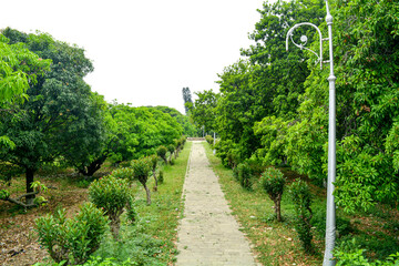 Beautiful park scene in public park with green grass field