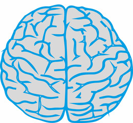 brain
