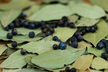Lorbeerblätter und Wacholderbeeren auf Olivenholz