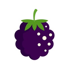 Food blackberry icon flat isolated vector