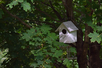 a white birdhouse on a tree among the leaves