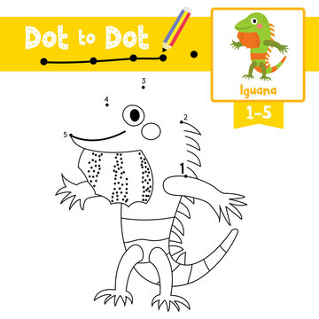 Dot to dot educational game and Coloring book Iguana standing on two legs animal cartoon character vector illustration