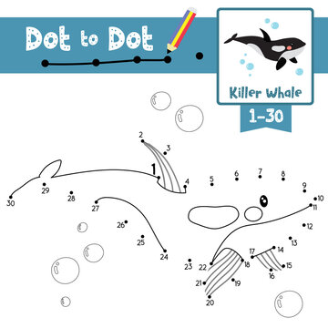 Dot to dot educational game and Coloring book Killer whale animal cartoon character vector illustration