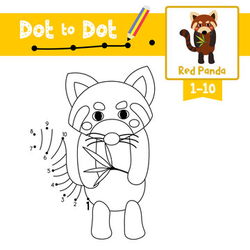 Dot to dot educational game and Coloring book Standing Red Panda animal cartoon character vector illustration