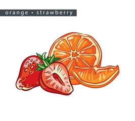 sketch_orange_strawberry_half_berries_and_slice