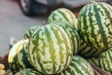Fresh organic watermelon vegetables at grocery store. Local products. Fresh organic healthy vegetables