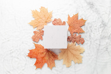 Naklejka na ściany i meble Cosmetic background with autumn leaves. Square podium and Blurred transparent clear water surface with marble texture with splashes and bubbles and circles from the rain.