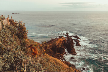 Beautiful view of an idyllic coast seen from Byron Bay Lighthouse viewpoint
