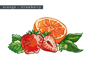 sketch_orange_strawberry_half_and_berries