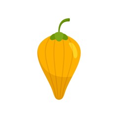 Superfood exotic icon flat isolated vector