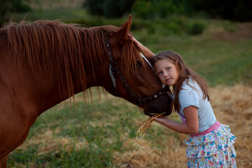 Obraz premium Beautiful girl walking and hugging with her brown horse outdoor on farm