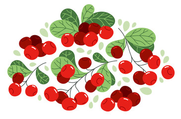 Fresh delicious ripe wild lingonberry vector flat illustration isolated on white, natural diet food vegetation tasty eating, forest wild berries series.