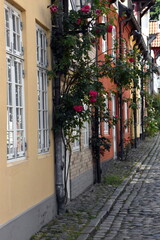Bunte Häuser in der Altstadt von Flensburg